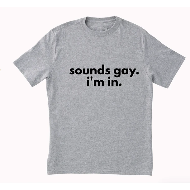 Polera Sounds gay 6