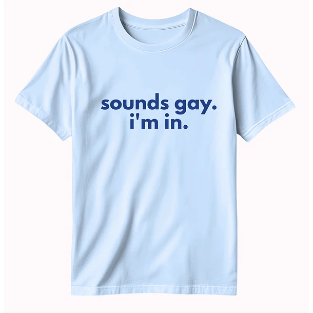 Polera Sounds gay 1