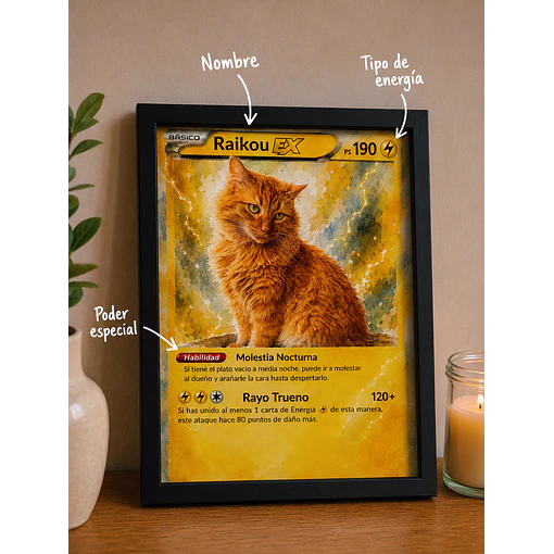 Cuadro Carta Pokémon de tu Mascota - Personalizable