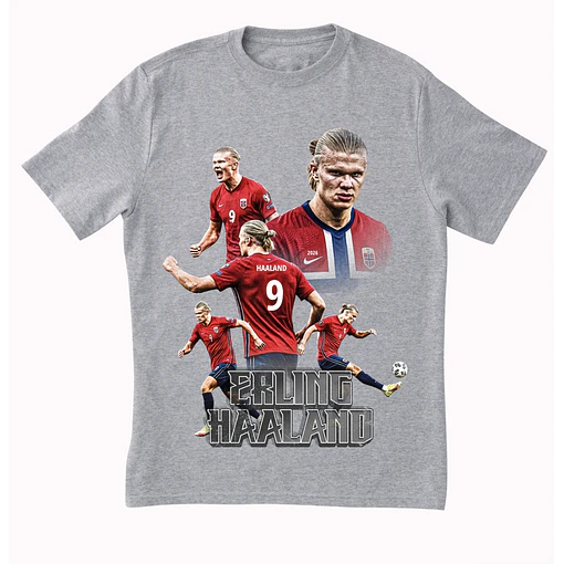 Polera Erling Haaland - Noruega 2 - GRIS