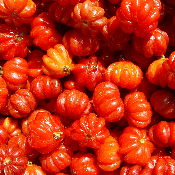 Difusor de Varillas Aroma Pitanga 3