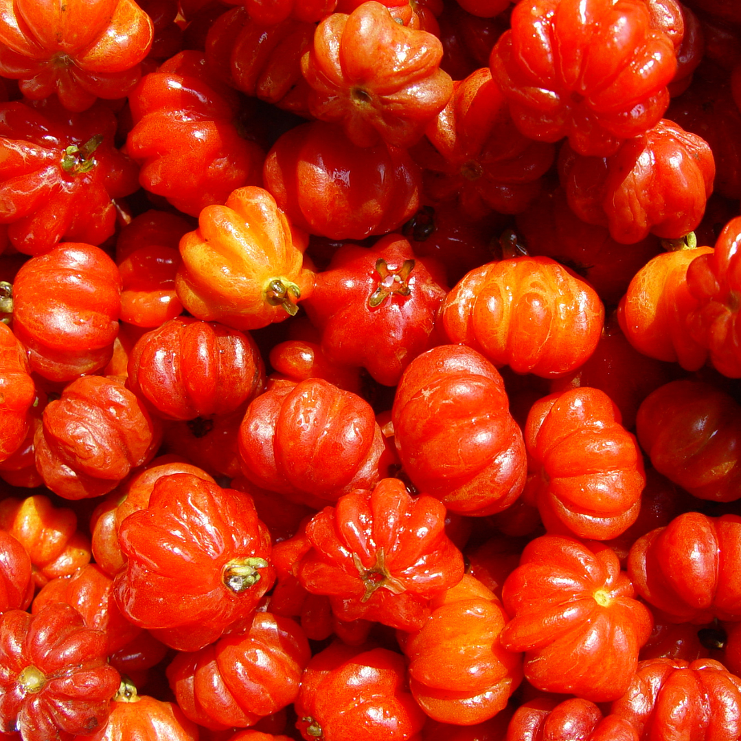 Refill Difusor de Auto 30ML 7