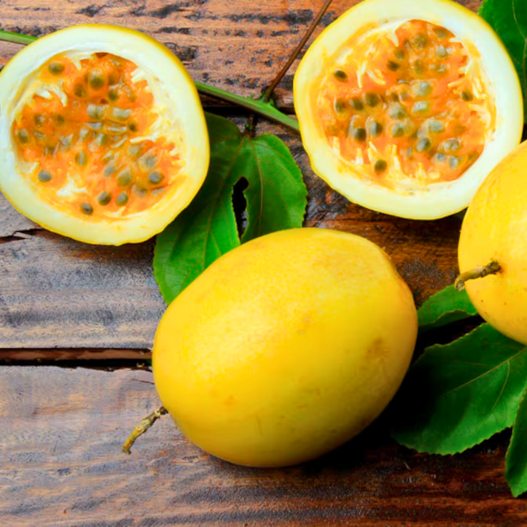 Refill Difusor de Auto 30ML 12