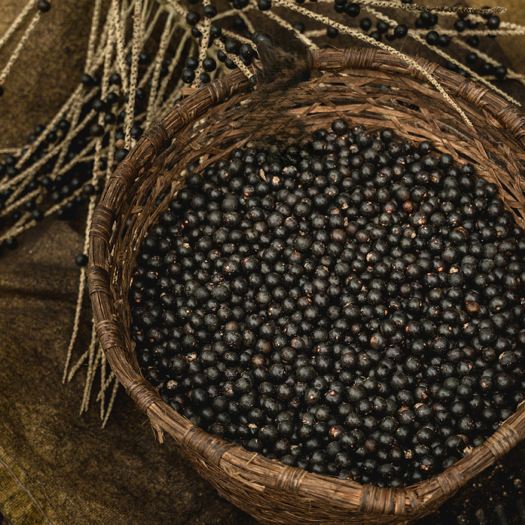 Refill Difusor de Auto 10