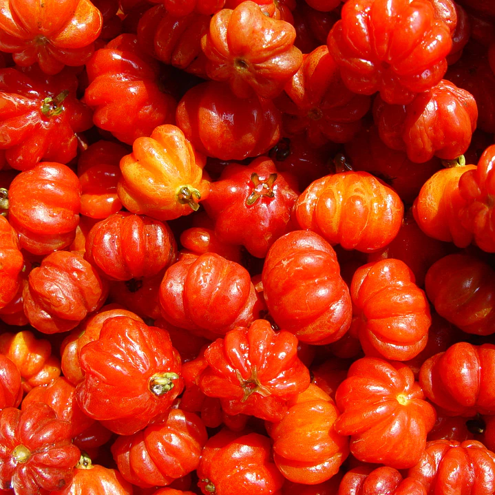 Home Spray Pitanga 3