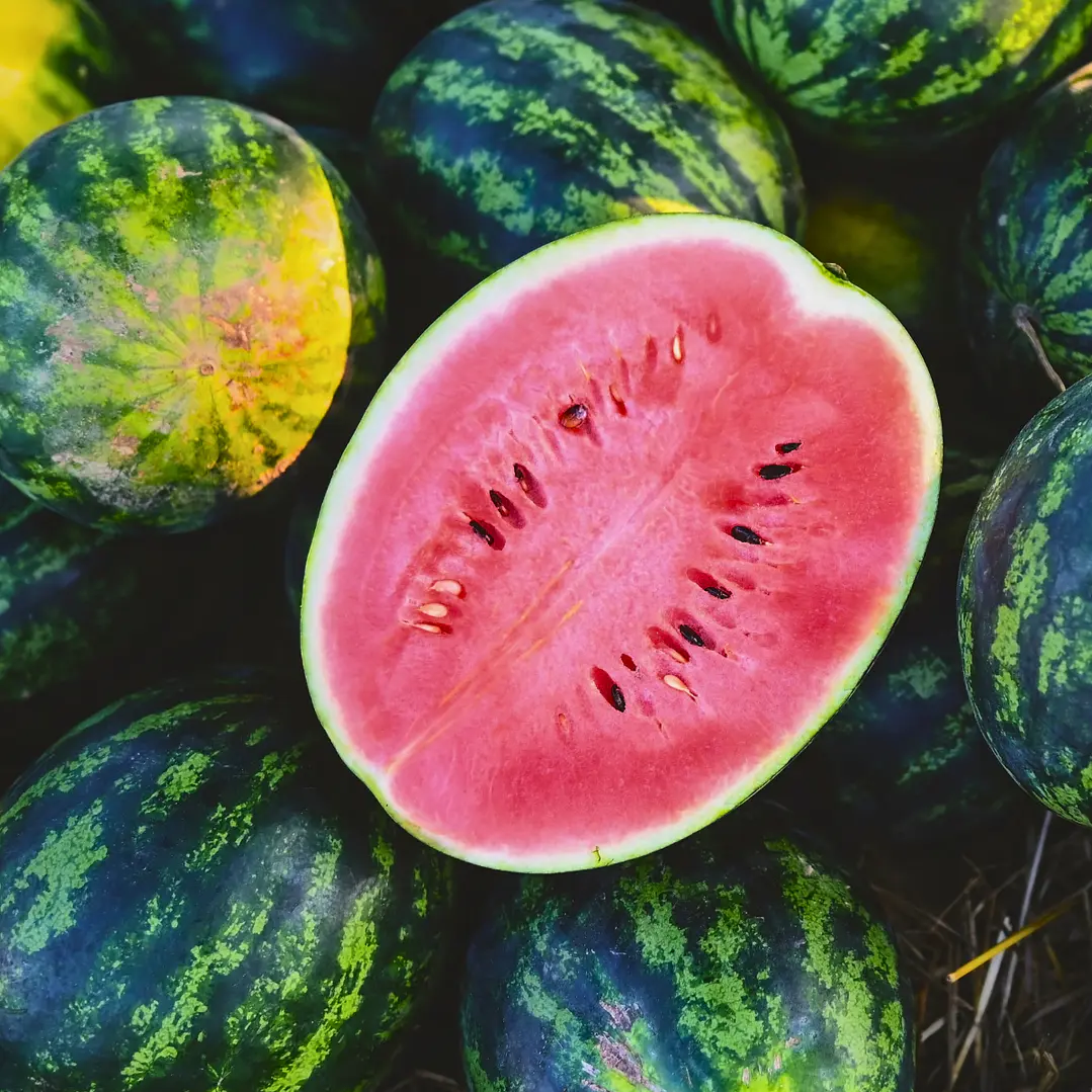 Home Spray Sandía 3