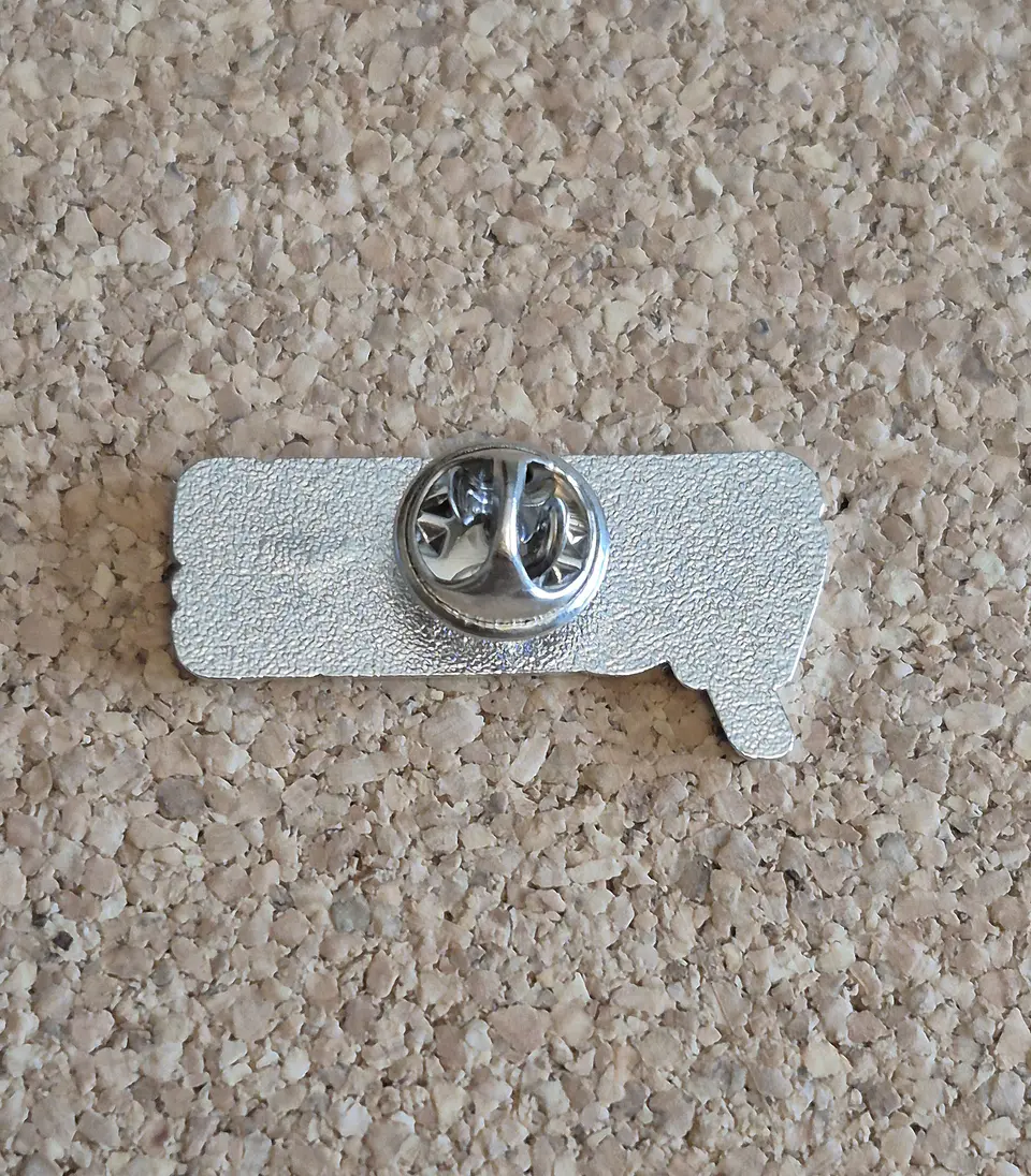 Pin Sleeping with Sirens (Single Clutch) 2