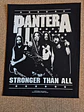 Pantera Backpatch – 3 Modelos - Thumbnail 2