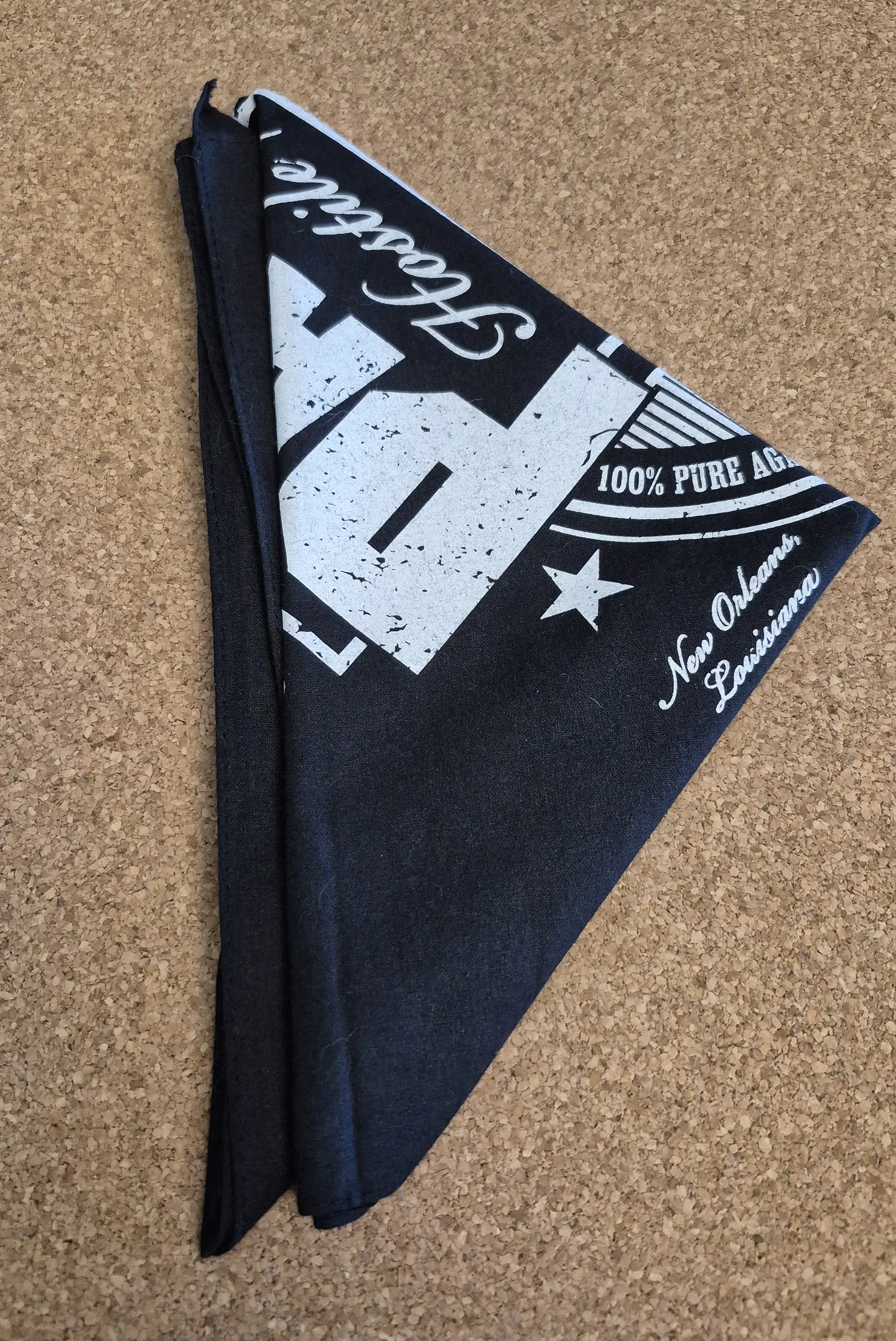 Bandana Pantera 1