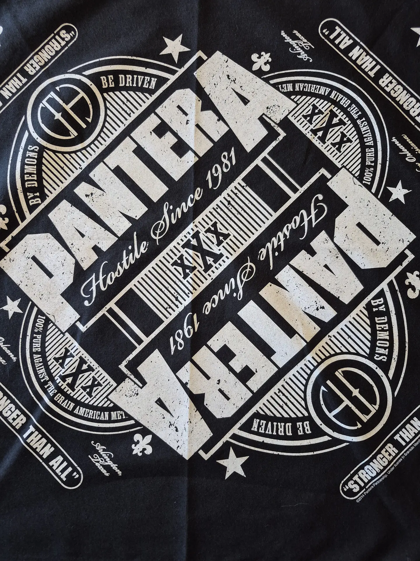 Bandana Pantera 2