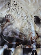 Bandeira My Dying Bride – For Lies I Sire Album Design Flag (65x105cm) - Thumbnail 2