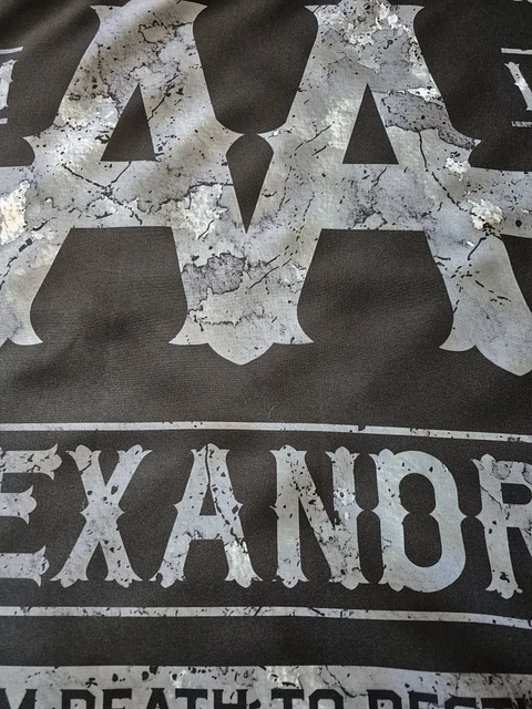 Bandeira Asking Alexandria – From Death to Destiny Album (70x100) c/ Ilhós