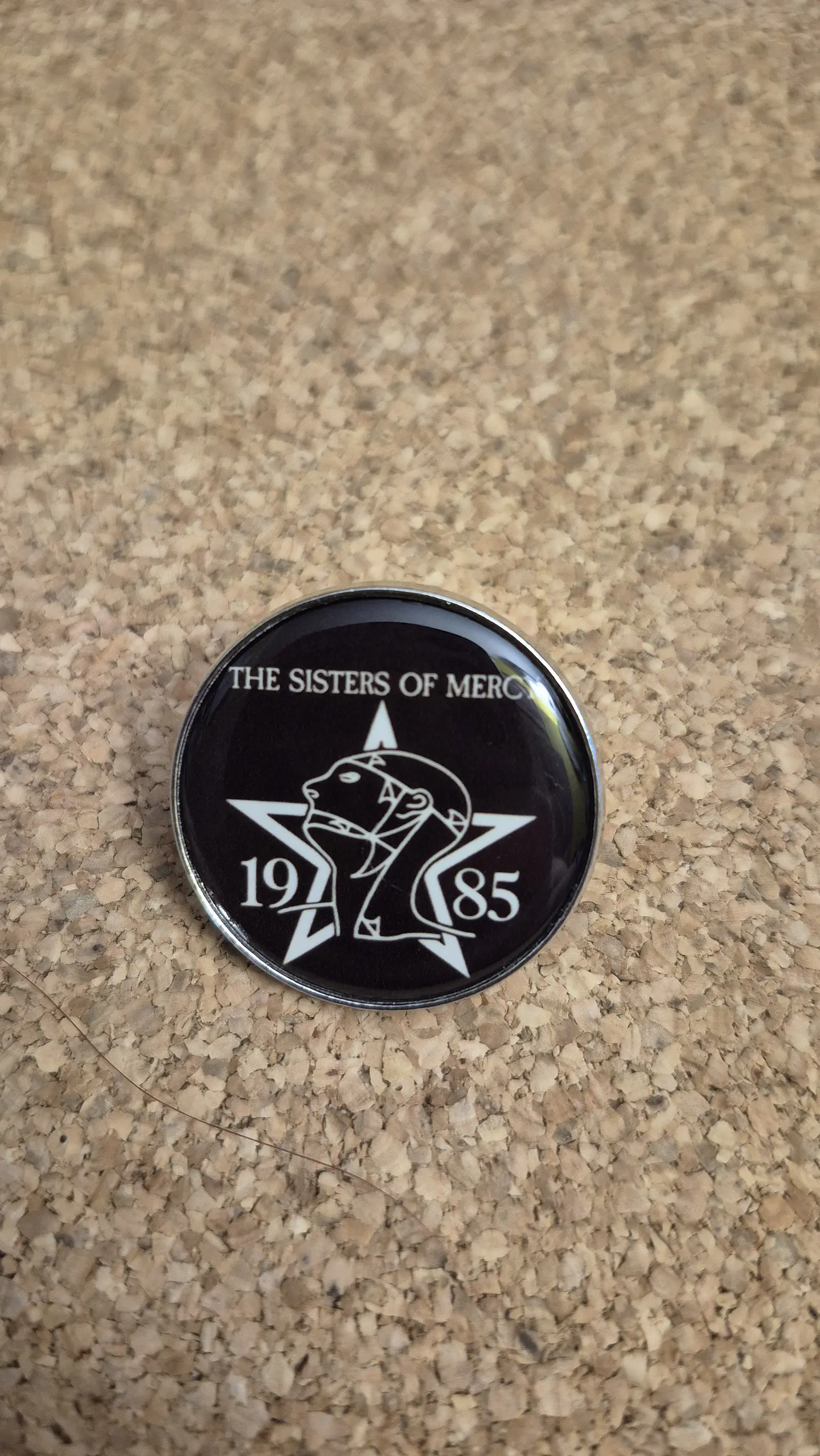 Pin The Sisters of Mercy - 10 Modelos (Single Clutch) 8