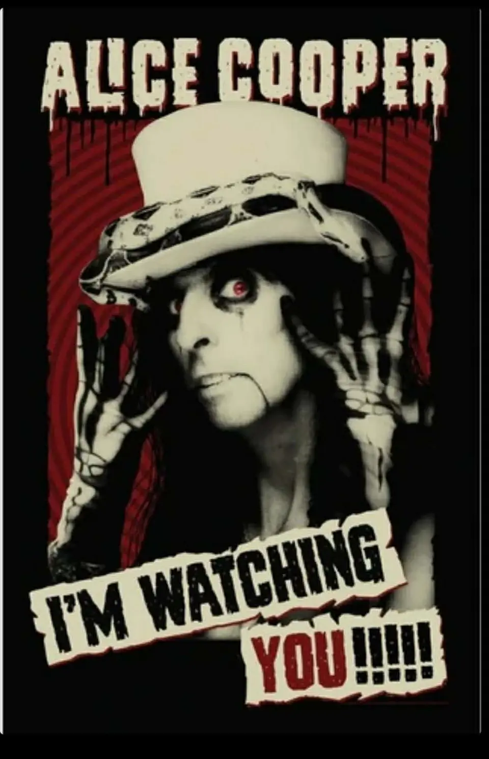 Bandeira Alice Cooper – I'm Watching You Design Flag (65x105cm) 1