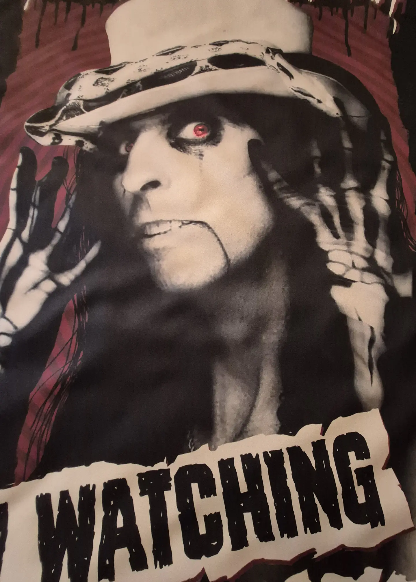 Bandeira Alice Cooper – I'm Watching You Design Flag (65x105cm) 2