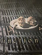 Bandeira Megadeth – Countdown to Extinction Design Flag (65x105cm) - Thumbnail 3