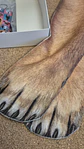Dog Paw Socks & Lanyard Set - Limited Edition - Thumbnail 2