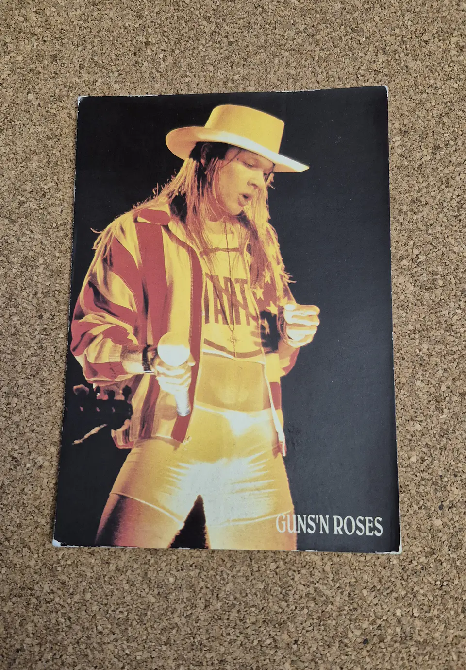 Vintage Postcard - Axl Rose Hat (Guns N' Roses) 1