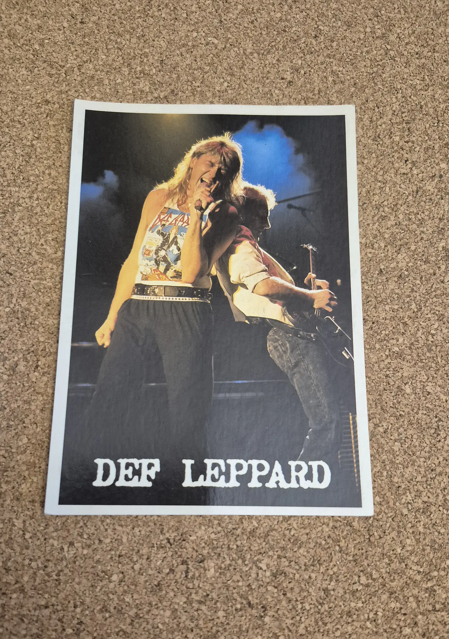 Vintage Postcard - Def Leppard Live Concert 1