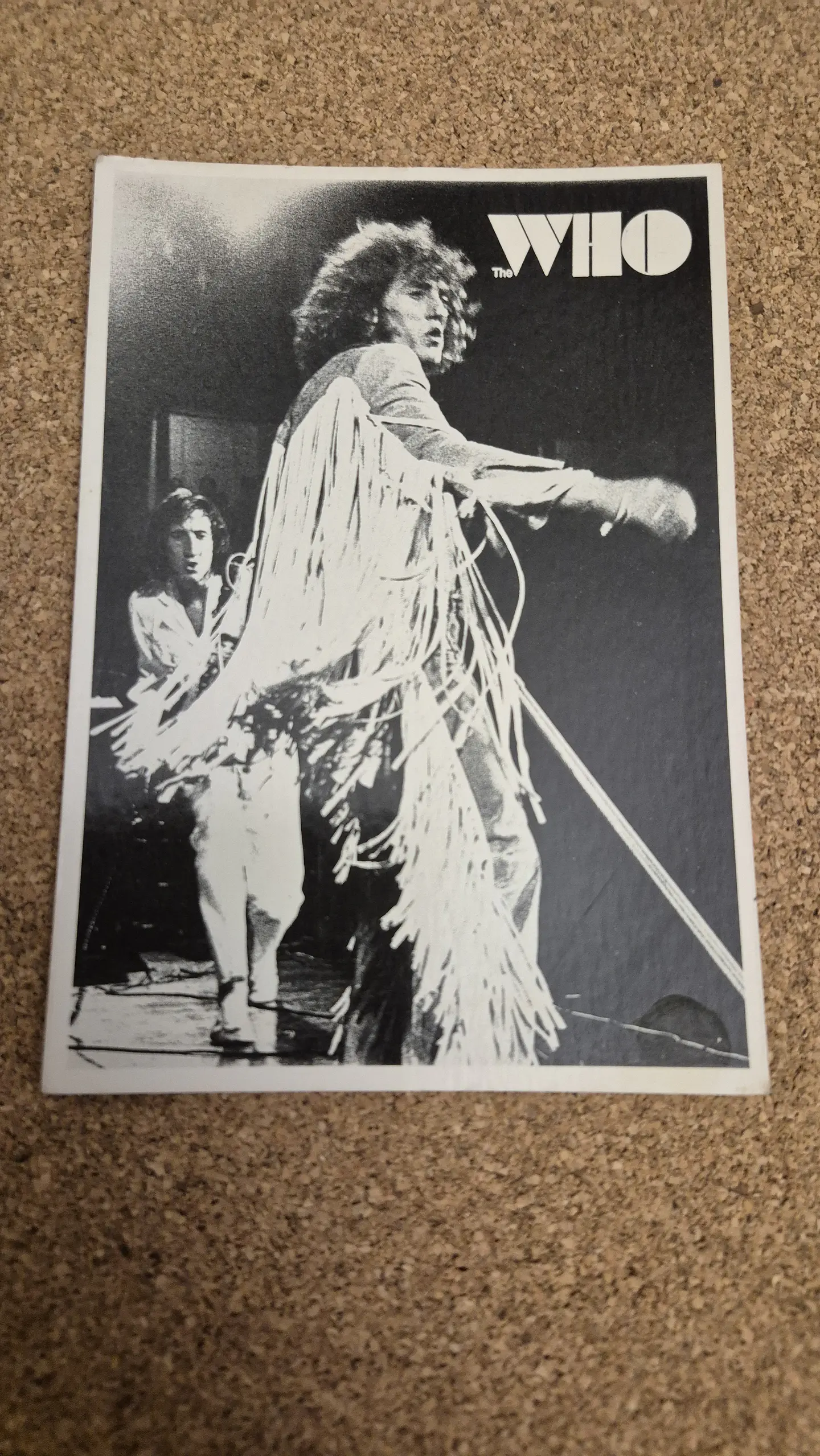 Vintage Postcard - The Who Roger Daltrey Live Concert Albert Hall 1