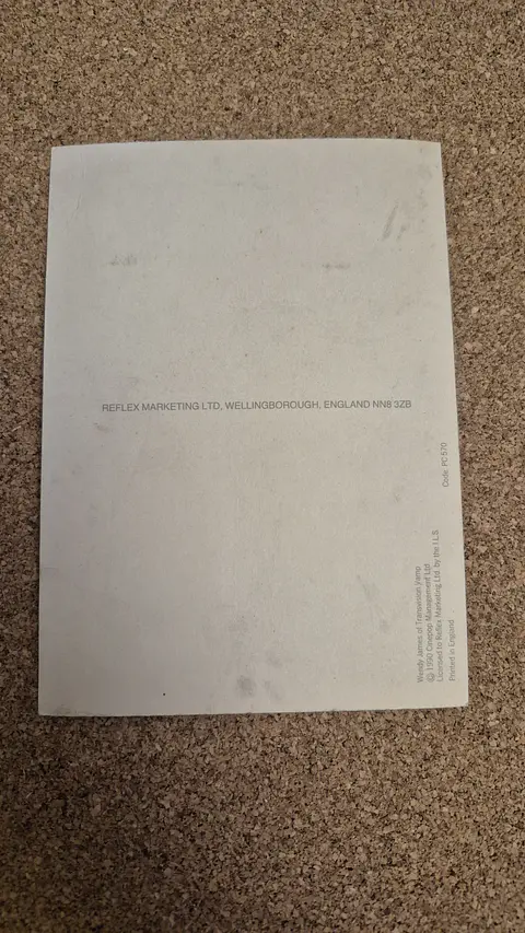 Vintage Postcard - Wendy James Transvision Vamp 1990 Pop Rock