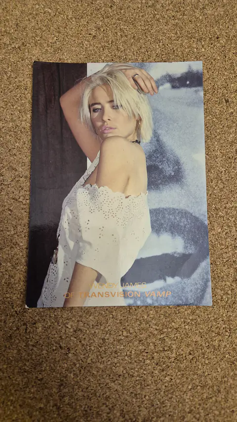 Vintage Postcard - Wendy James Transvision Vamp 1990 Pop Rock
