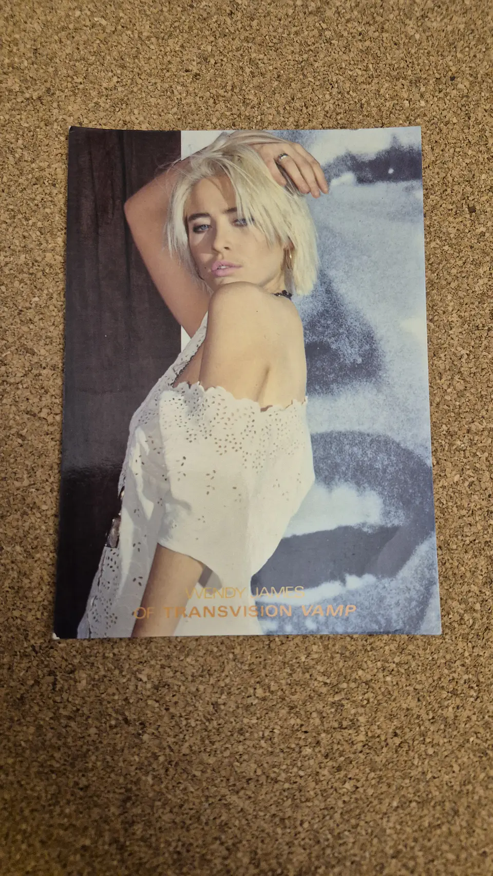 Vintage Postcard - Wendy James Transvision Vamp 1990 Pop Rock 1