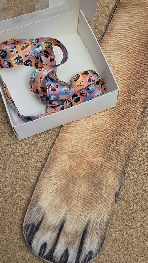Special Animal Pack: Dog Paw Socks & Lanyard Set - Limited Edition