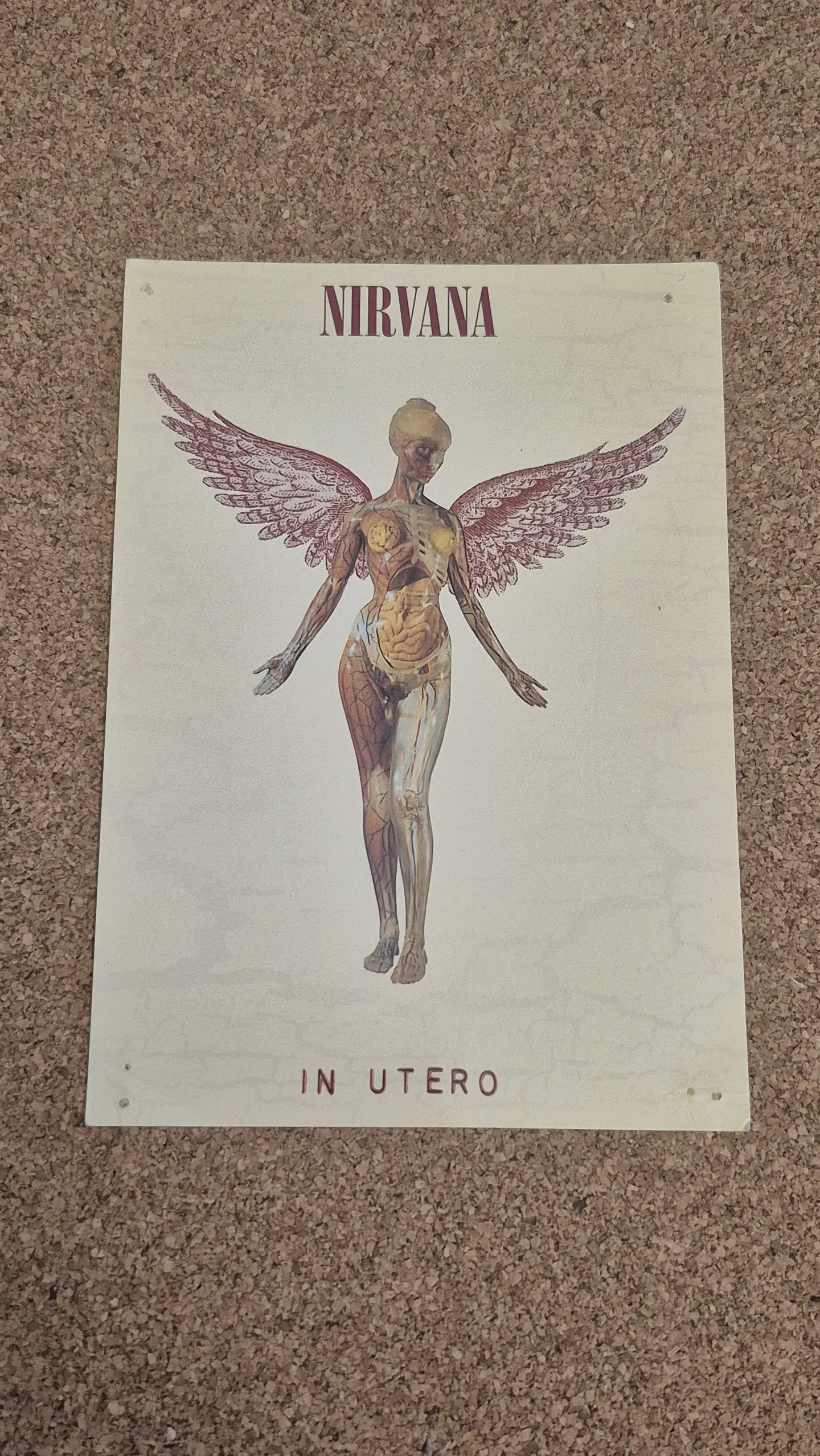 ​Vintage Postcard - Nirvana (In Utero Album Cover) 1