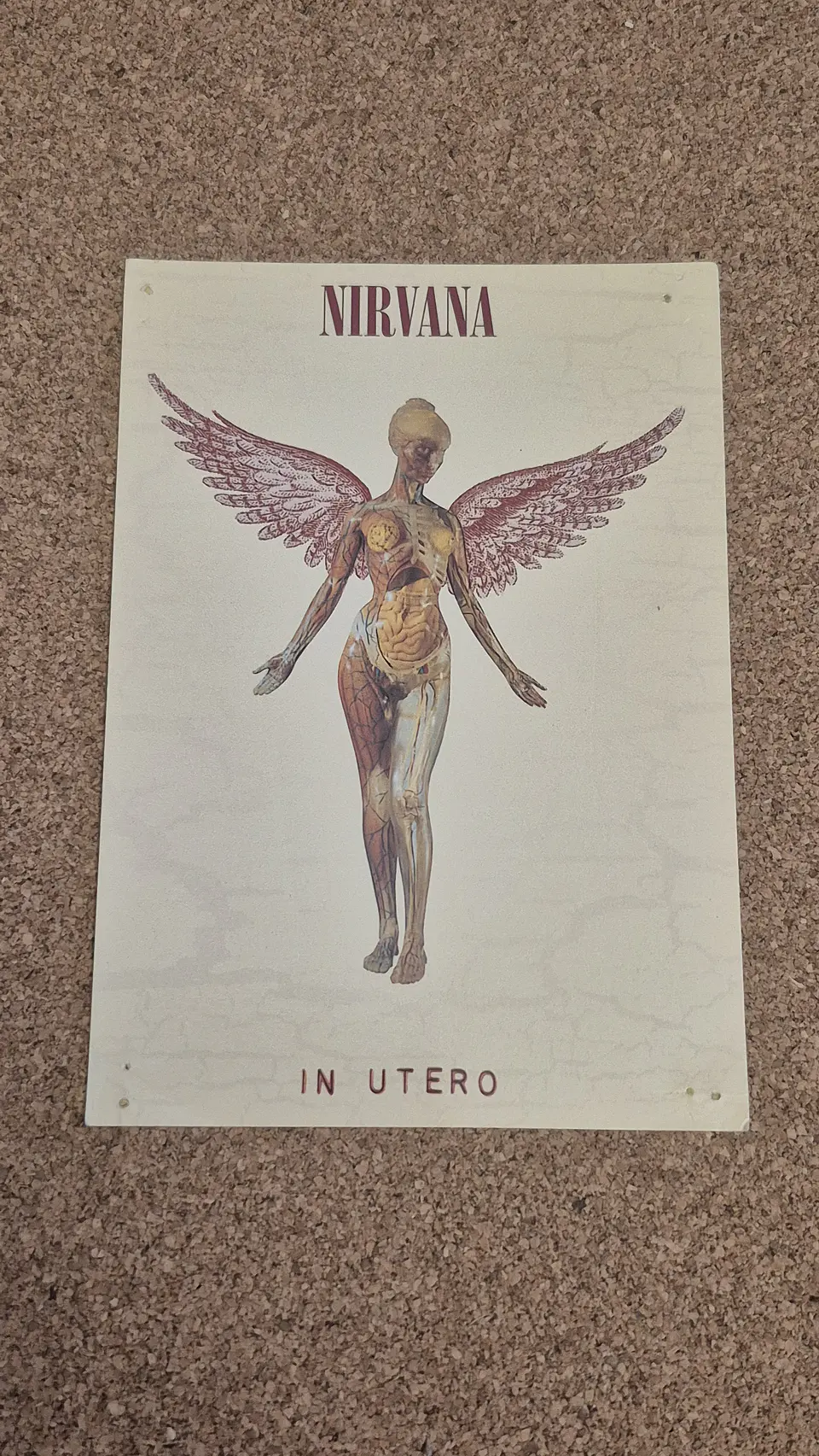​Vintage Postcard - Nirvana (In Utero Album Cover) 1