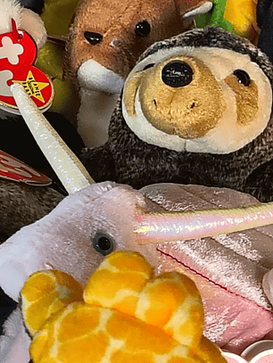 ~$5 Blind Beanie Bag