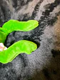 Legs - thumbnail 4
