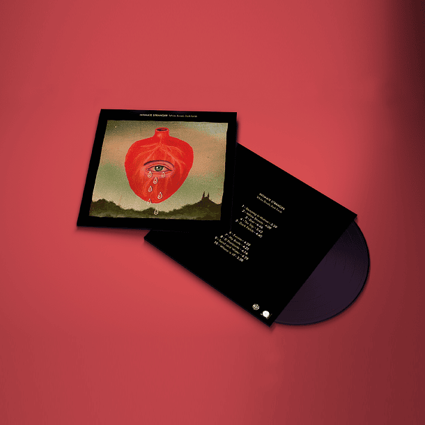 Intimate Stranger - White Streets, Dark Fields (Vinilo) 