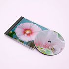 The Suicide Bitches - La Impenetrable Jungla de la Vanguardia (CD) 1