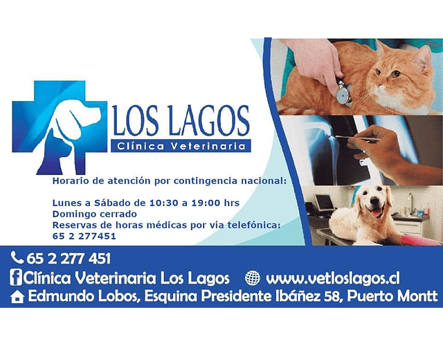 Clínica Veterinaria Los Lagos