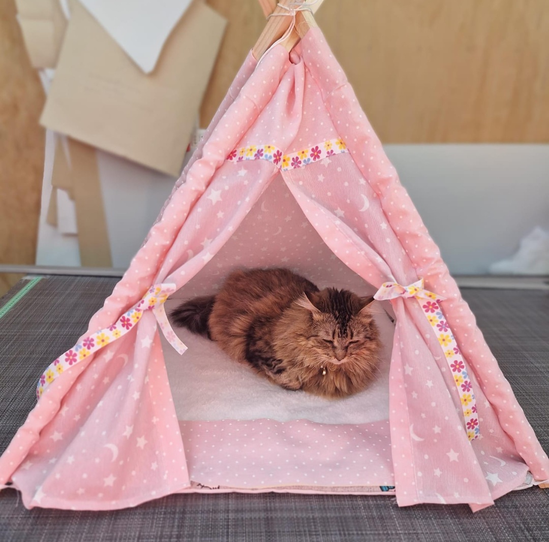 Carpa Tipi para mascotas