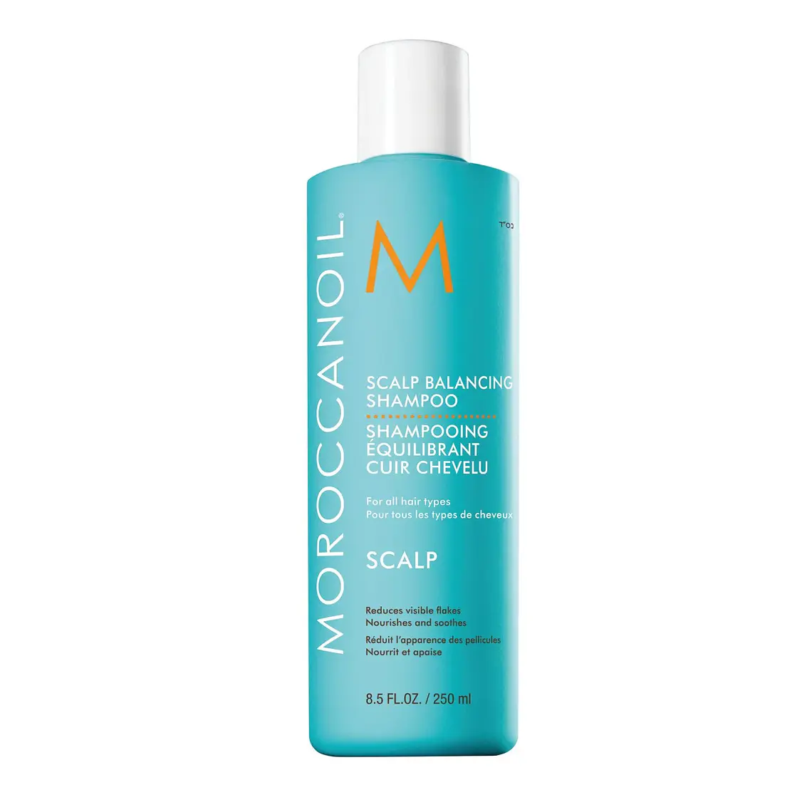 SHAMPOO EQUILIBRIO CUERO CABELLUDO MORROCANOIL 250ML 1