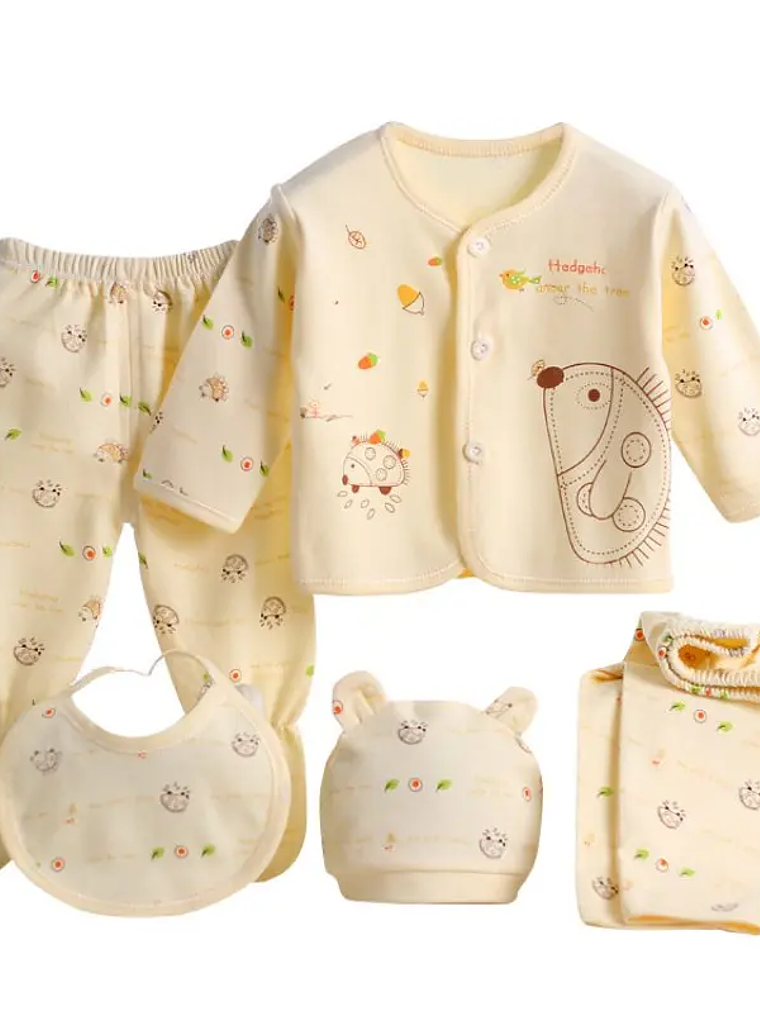 Set de Ropa para Recién Nacido 5 Piezas 6