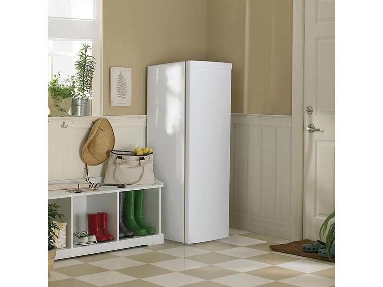  CONGELADOR VERTICAL BD-180 ELECSTAR 2