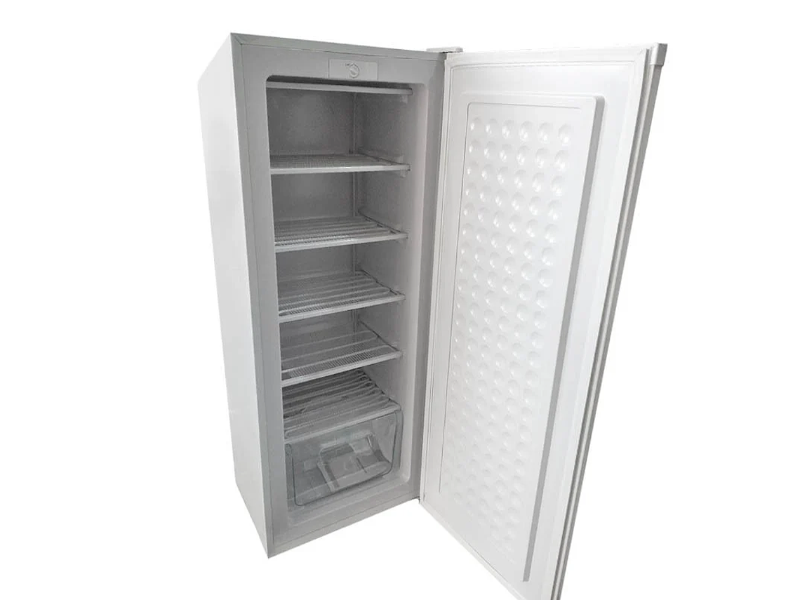  CONGELADOR VERTICAL BD-180 ELECSTAR 4