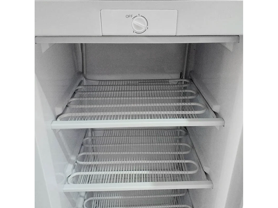  CONGELADOR VERTICAL BD-180 ELECSTAR 5