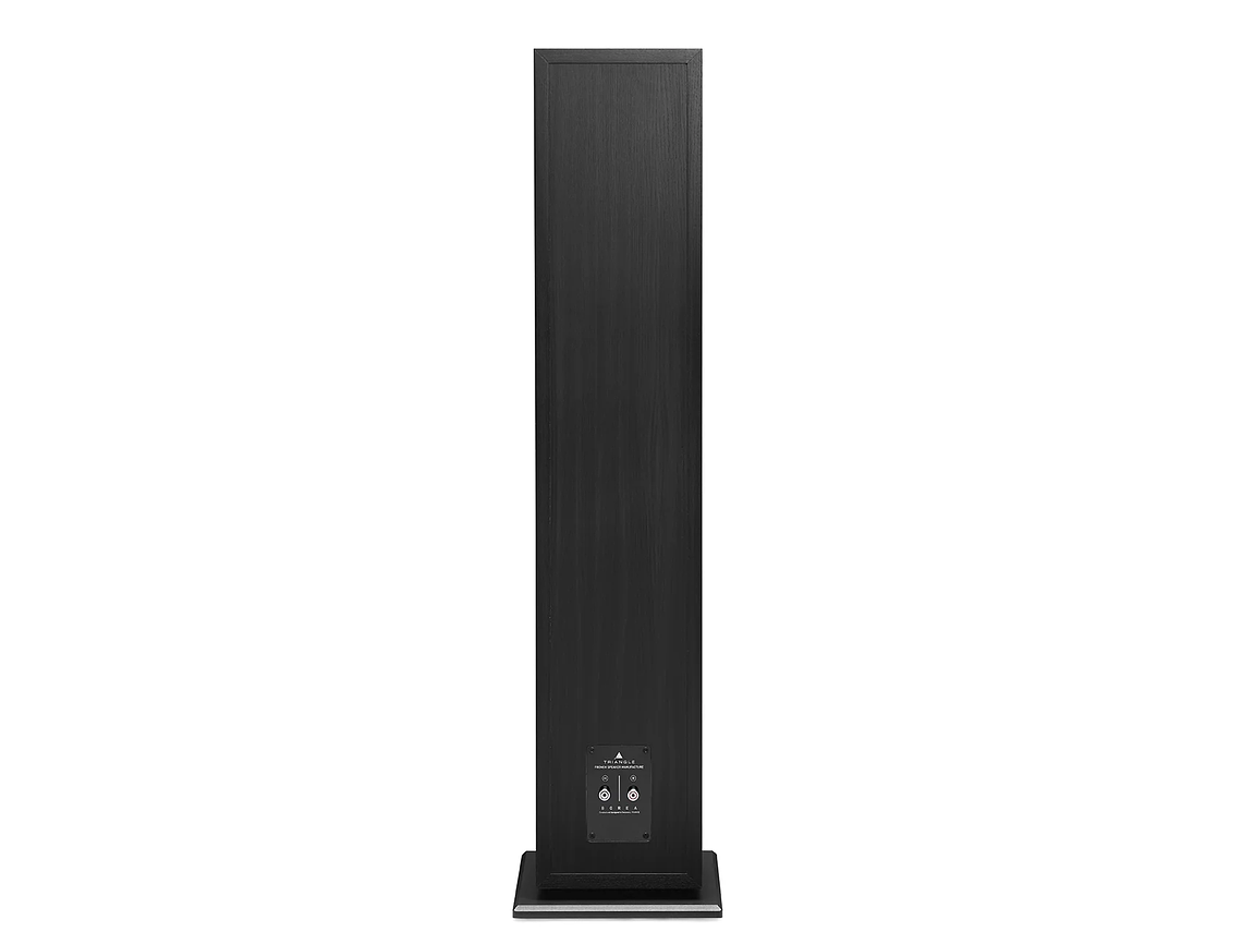 PARLANTE COLUMNA TRIANGLE BOREA BR08 NEGRO 3