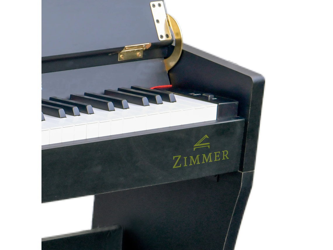PIANO ZIMMER DIGITAL ZIM-2000-BLK 2