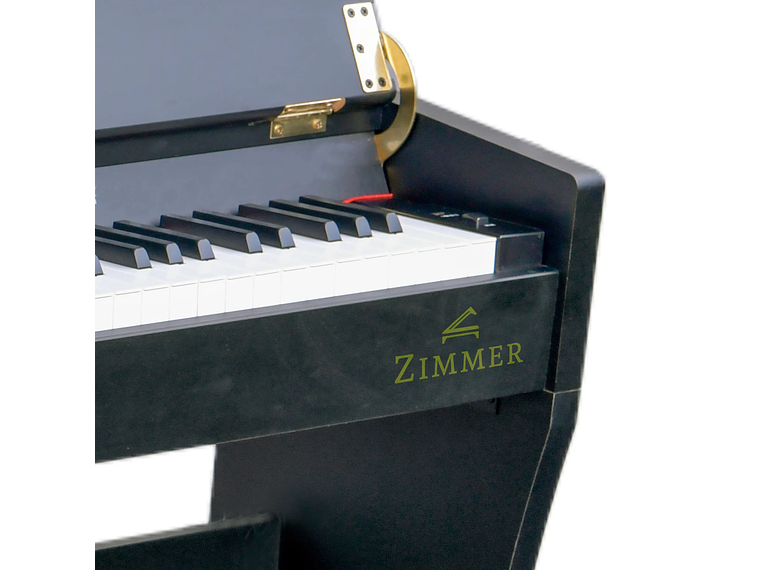 PIANO ZIMMER DIGITAL ZIM-2000-BLK 2