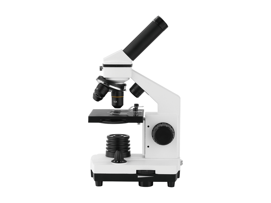 MICROSCOPIO EDUCATIVO 2