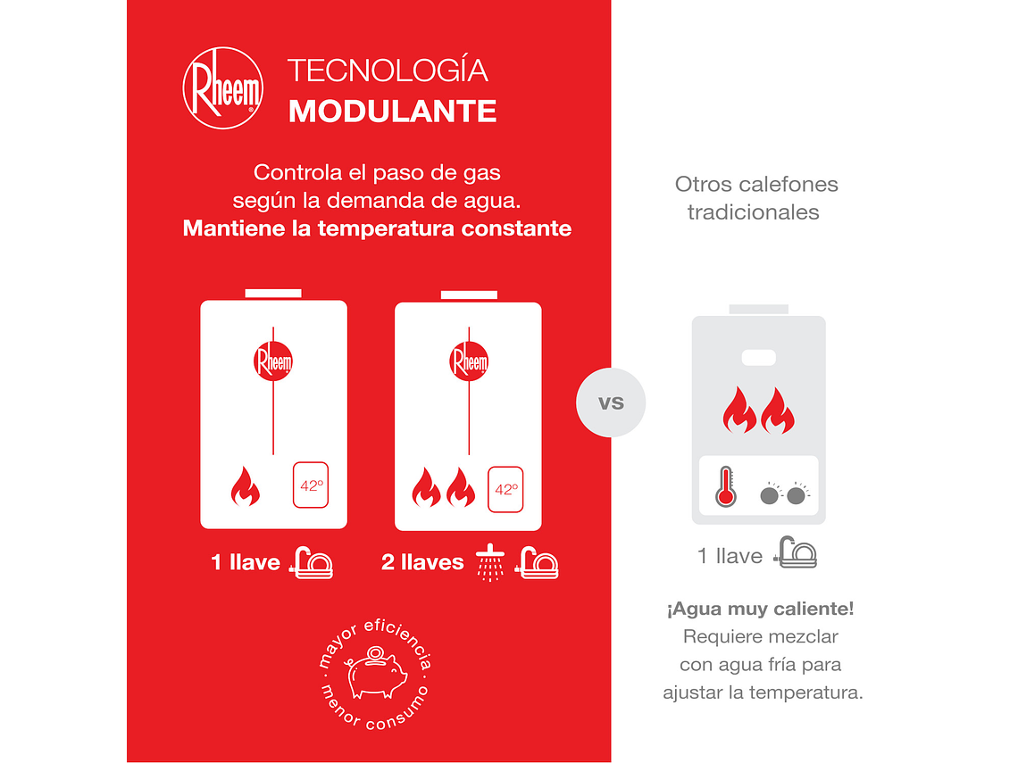 CALEFONT 18 LITROS GAS NATURAL TIRO FORZADO RHEEM 5