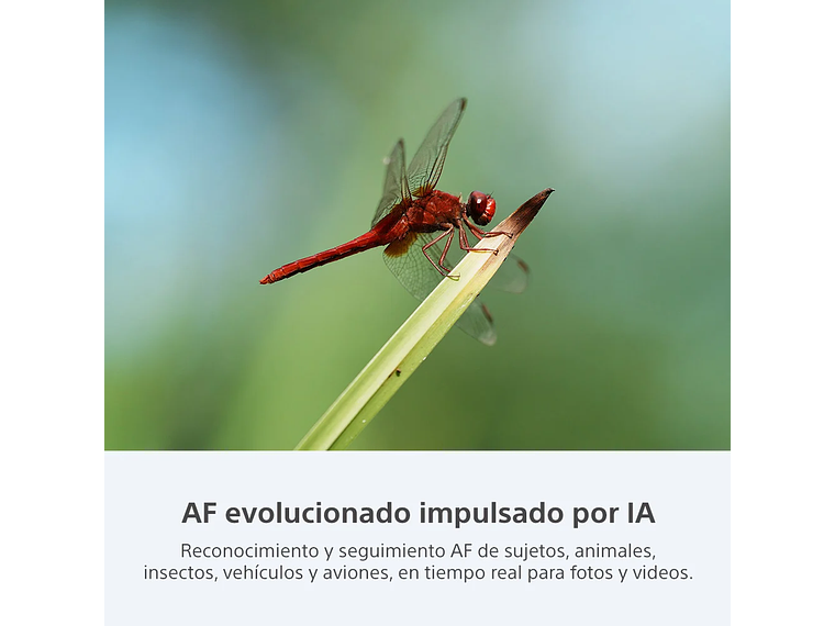 CÁMARA PROFESIONAL COMPACTA FULL FRAME MIRRORLESS ILCE-7CR 7