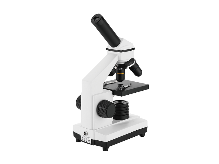 MICROSCOPIO EDUCATIVO BM-42 3