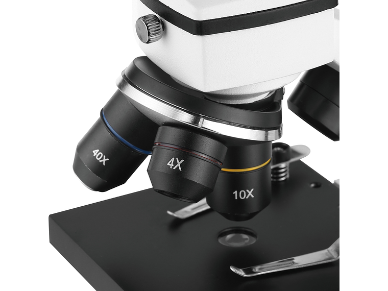 MICROSCOPIO EDUCATIVO BM-42 4