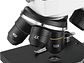 MICROSCOPIO EDUCATIVO BM-42 - Miniatura 4